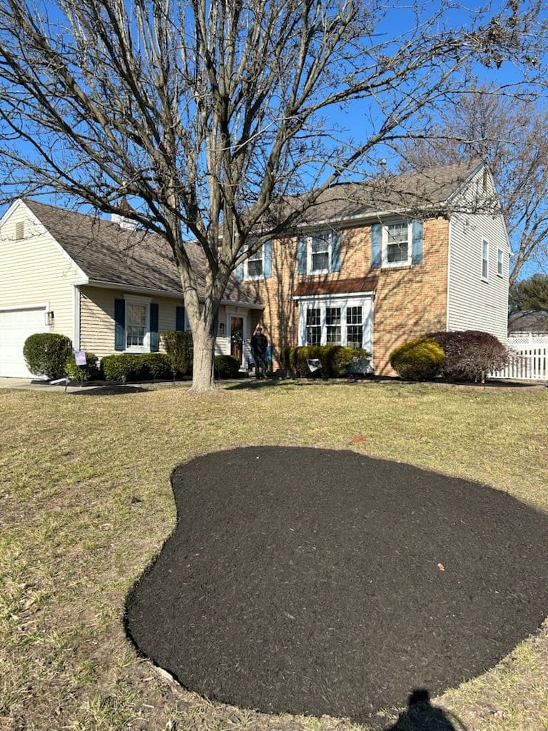 Project Yard Refresh with Mulch and Bush Trimming image