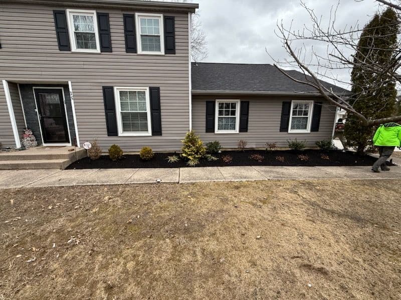 Landscape Refresh with Mulch and Evergreens