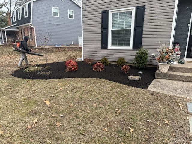 Landscape Refresh with Mulch and Evergreens