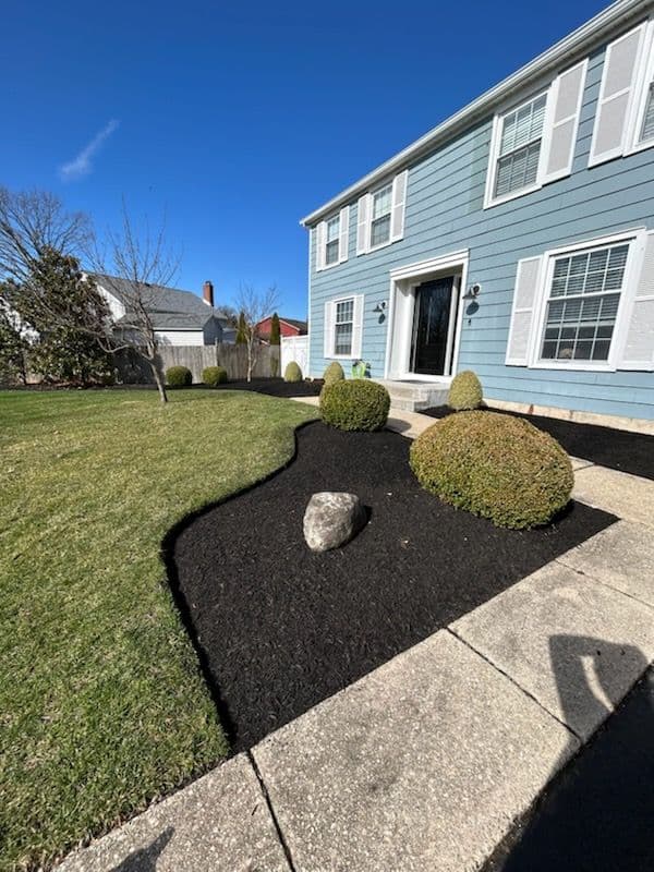 Residential Landscaping with Black Mulch and Trimming