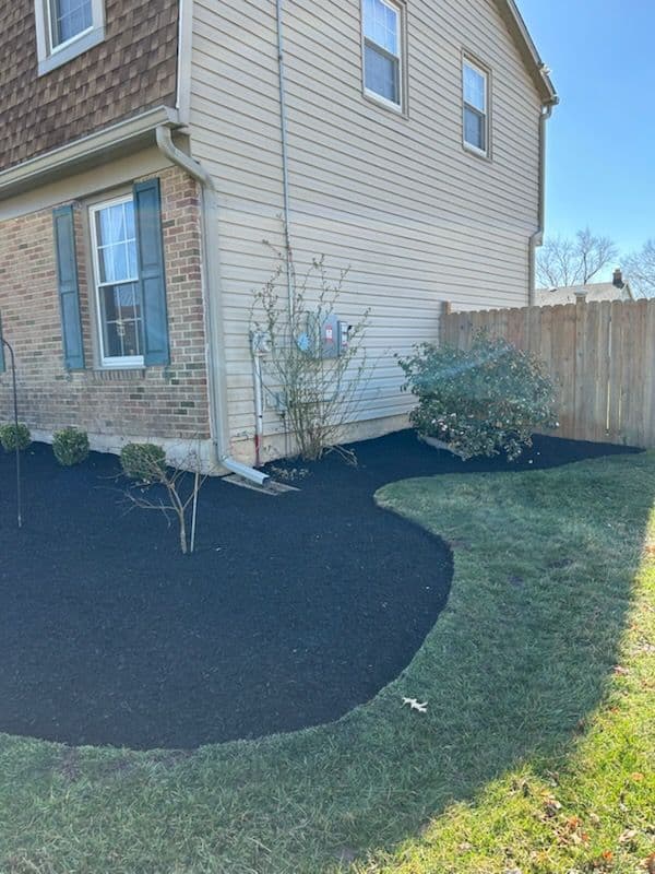 Residential Landscaping with Black Mulch and Trimming