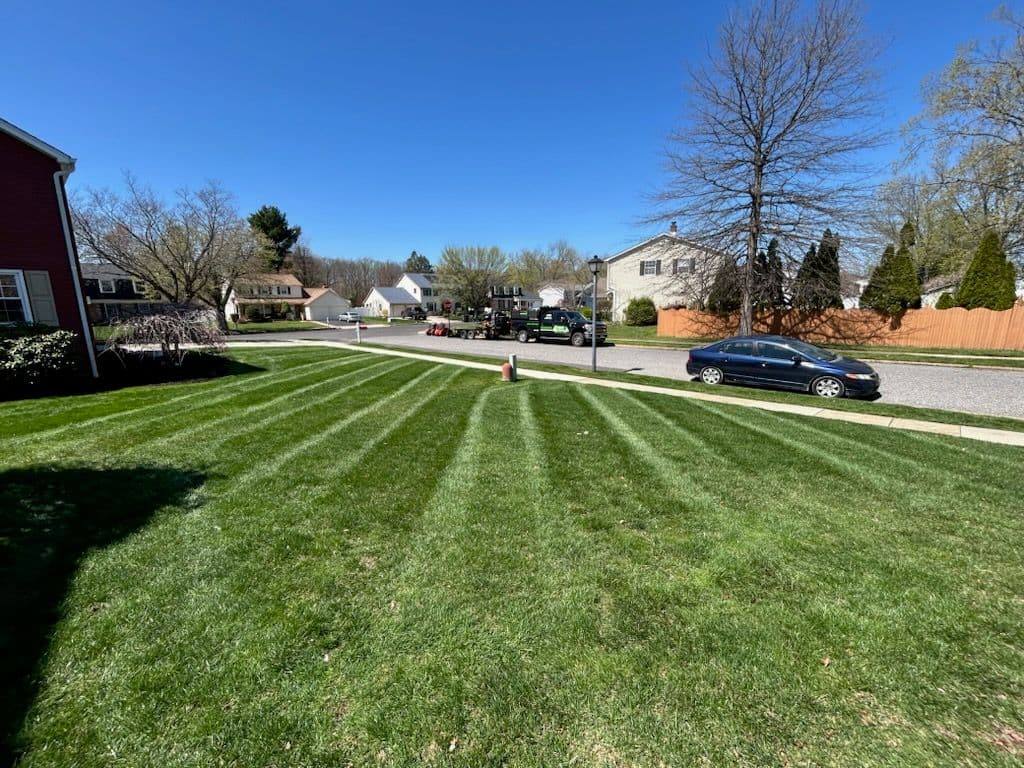 Impeccable Lawn Stripes by Four's Landscaping LLC