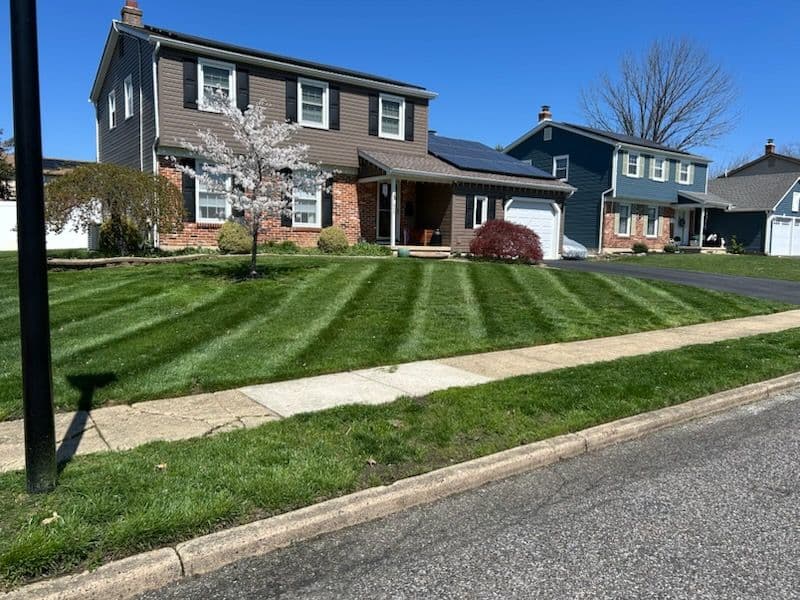 Gallery photos for Impeccable Lawn Stripes by Four's Landscaping LLC: Image #1