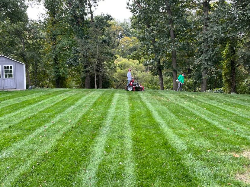 Eco-Friendly Landscaping Solutions's image